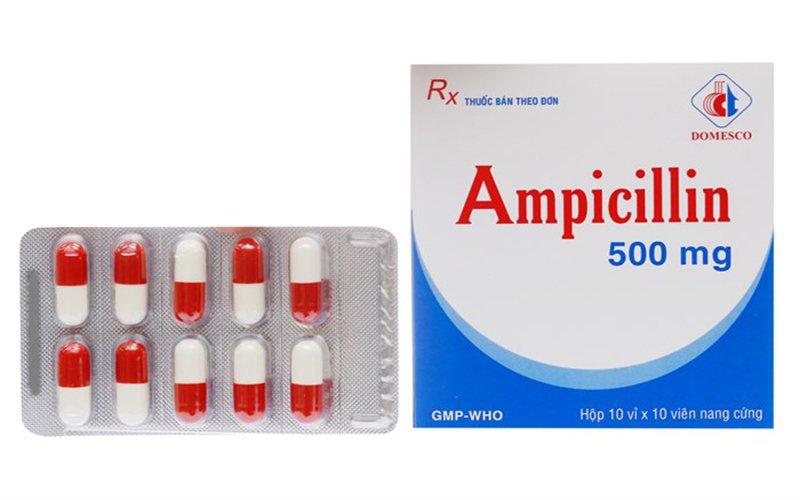 Thuốc Ampicillin: Công dụng, liều dùng và tác dụng phụ