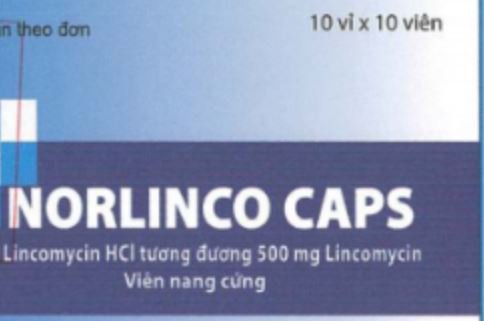 Công dụng thuốc Norlinco Caps
