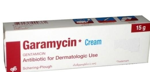 Thông tin về thuốc Garamycin