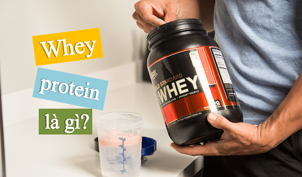 Sự khác biệt giữa Casein và Whey Protein là gì?