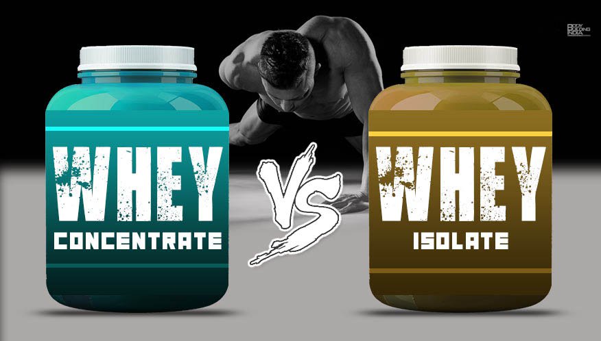Phân biệt Whey Protein Isolate và Whey Protein Concentrate
