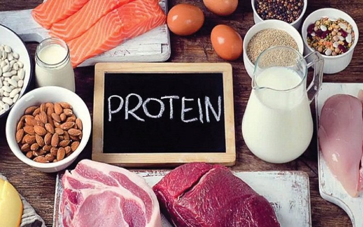 Đậu, cá, trứng, thịt và các protein khác