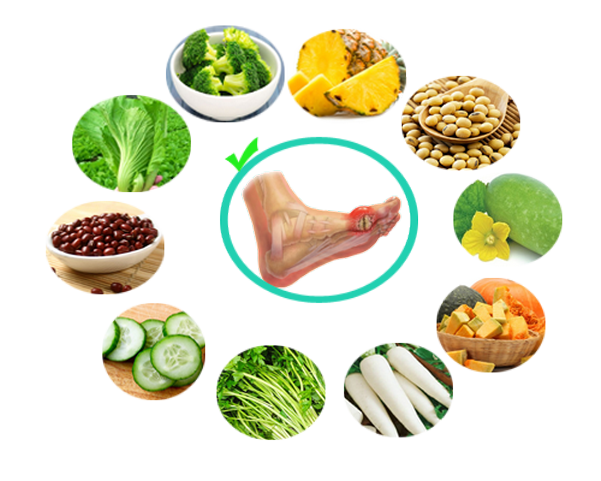 Chế độ dinh dưỡng điều trị bệnh Gout