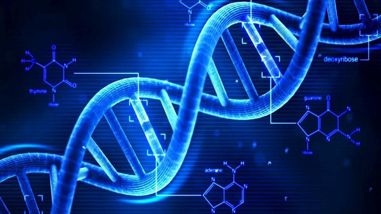 Giải trình tự gen: Bẻ khóa mã di truyền cho bệnh do thực phẩm