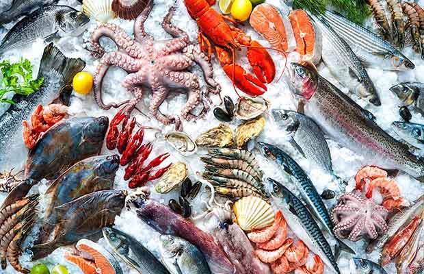 Các chuyên gia giải thích vì sao ăn hải sản mỗi tuần lại quan trọng