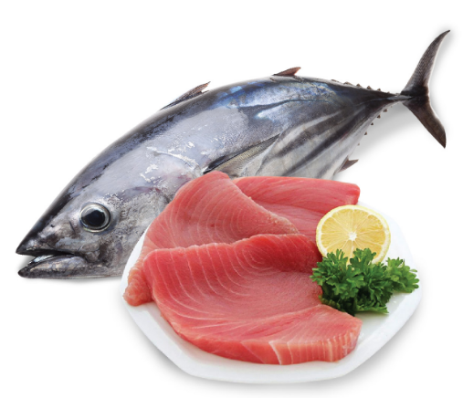 Thành phần dinh dưỡng trong cá ngừ đại dương