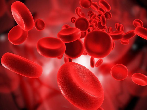 5 chất dinh dưỡng giúp tăng lượng hồng cầu trong máu