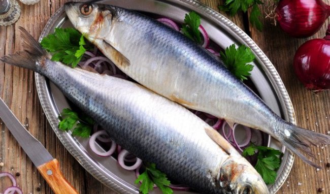 Có nên ăn cá trích sống?
