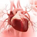 Hở van tim có nguy hiểm không?