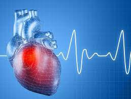 Bệnh tim là gì? Nguyên nhân, triệu chứng và cách điều trị bệnh tim