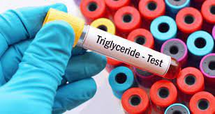 Chỉ số Triglyceride cao khi mang thai gây ảnh hưởng gì?