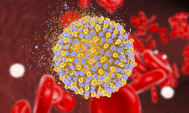 Virus viêm gan E là gì?